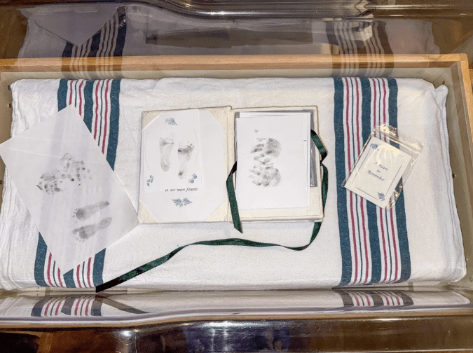 Born to the&nbsp;Heavens