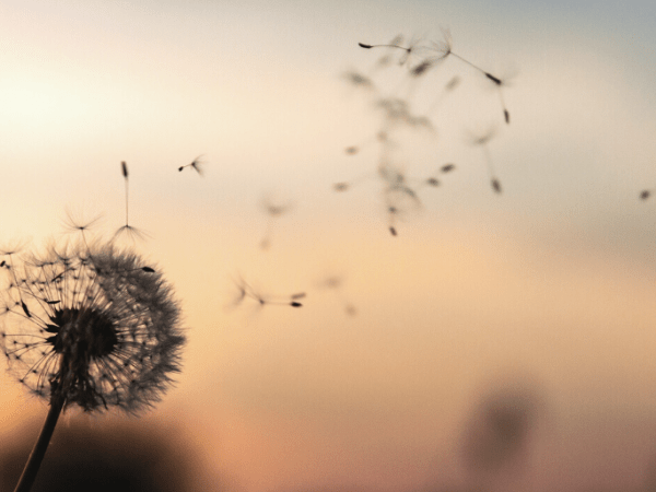 Digital Ghosts: Let People&nbsp;Go